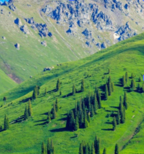 image of Greener Vegetation